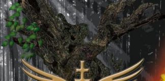 historica cover 20151217