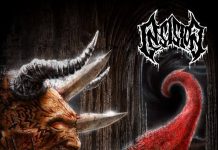 Insision – Dalpremier – Cold Air insision cover 20151217