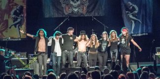 reckless roses 20160113