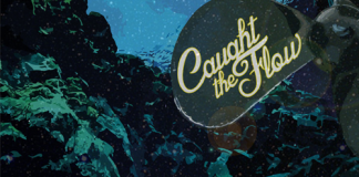 caught the flow cover 20160430