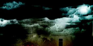 silent murder 20160514