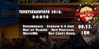Rokitehikutidonto0923
