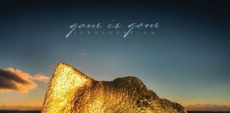gone is gone cover 20161004
