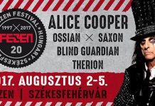 fezen flyer 20161127