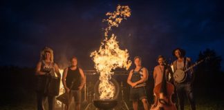 steve n seagulls 20161111