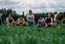 Steve’n’Seagulls – Klippremier – The Pretender