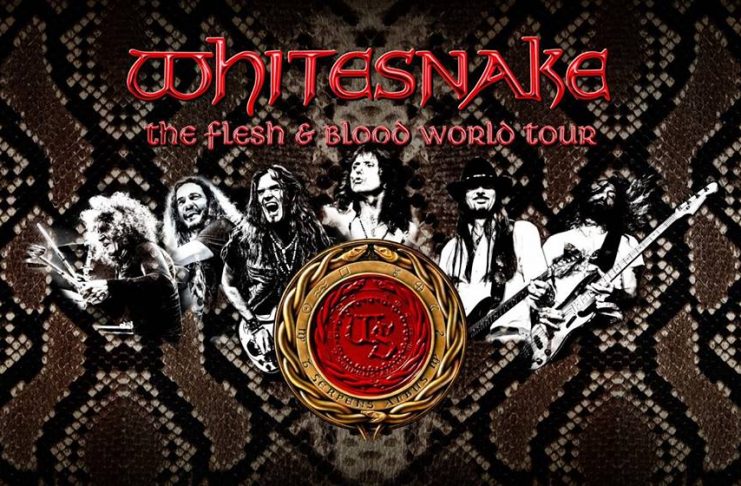 Nyolc év után visszatér a Whitesnake