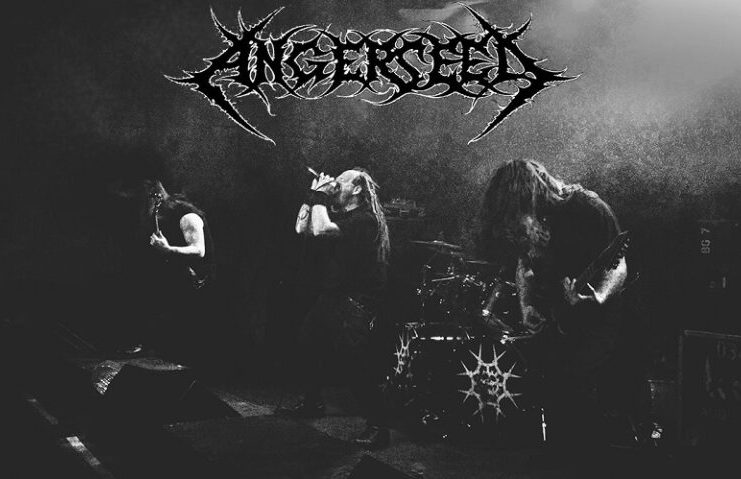 Angerseed – Őszi pörgés, Full of Anger fesztivál, de új lemez is készül