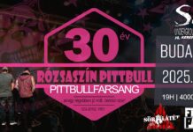 Pittbull farsang az S8 Underground Clubban